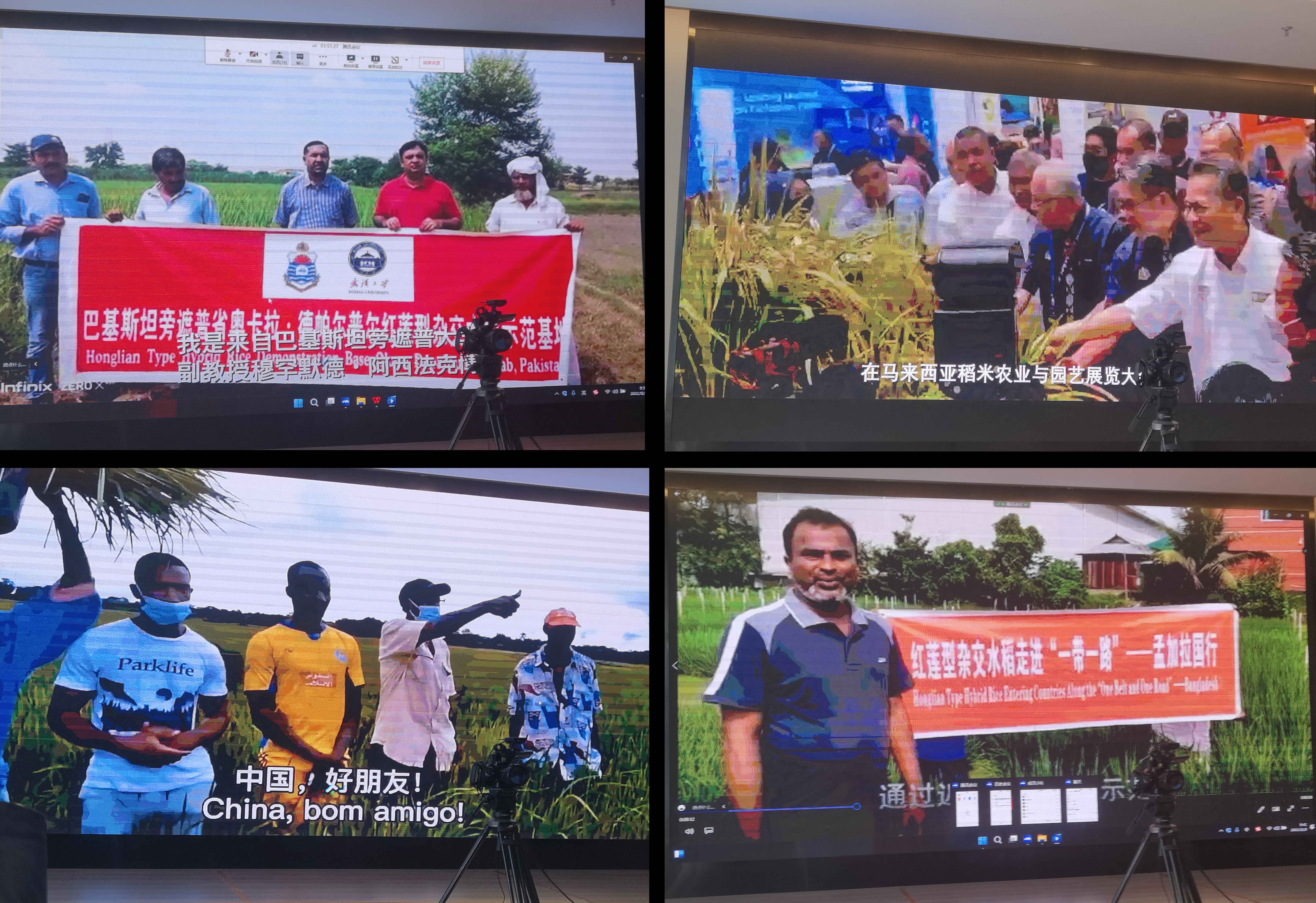 1670834866949002625.jpg 3.jpg