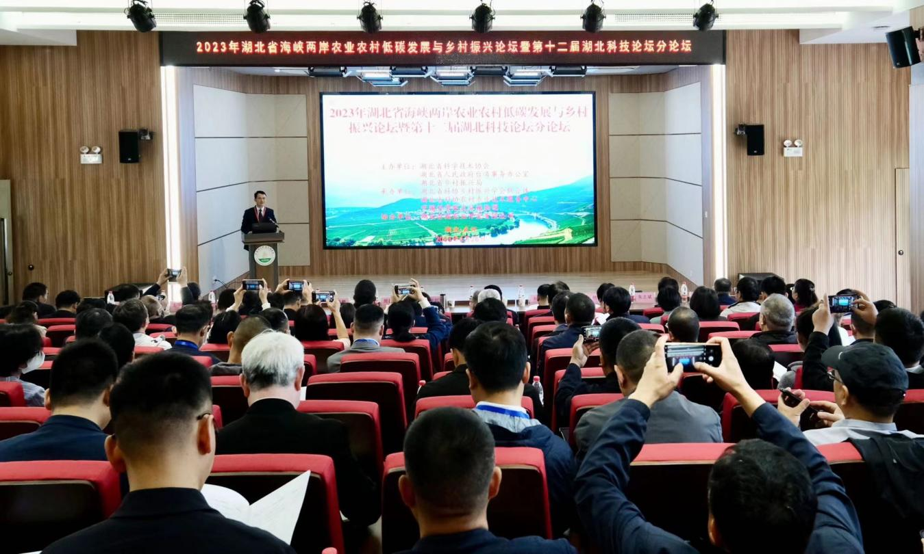 1682674357198037858.png 圖片6.png