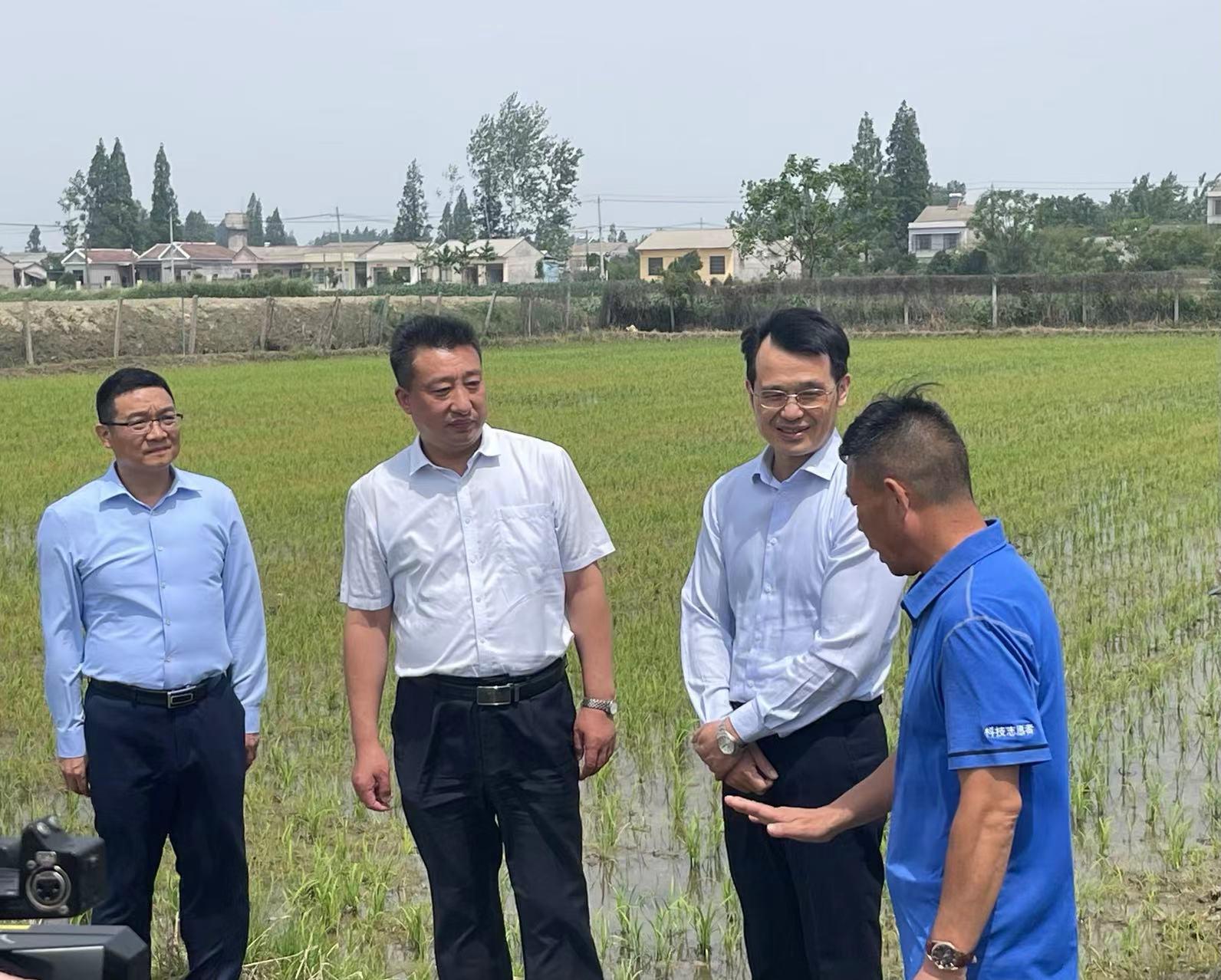 1684292902171016765.jpg 4d086e061d950a7b11515f52c33643d5f3d3c937.webp.jpg