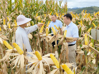 1706062564923001141.png 1706062564923001141.png