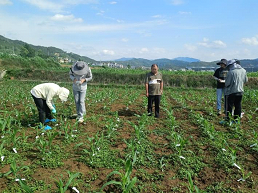 1706062602112077445.png 1706062602112077445.png