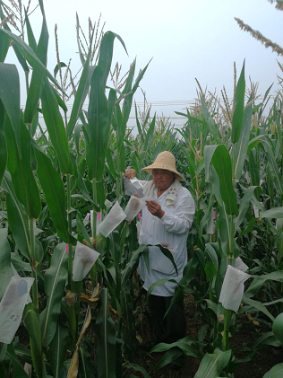 1706062612178065903.png 1706062612178065903.png