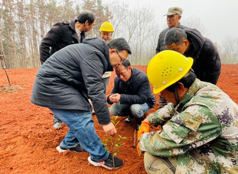 1707185527080014641.jpg 1707185527080014641.jpg