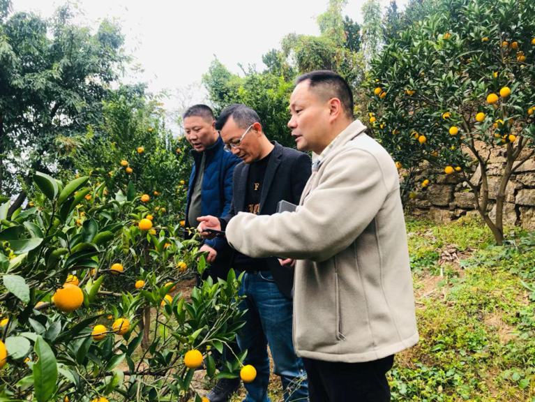 1715332730536042369.png 640 (2).png