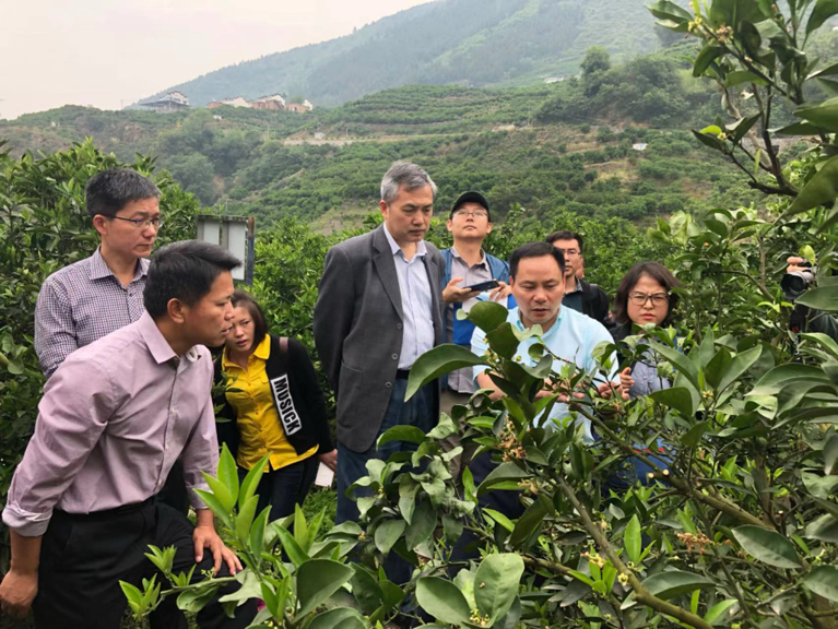 1715332742448076100.png 745ed95972376f870bd400471661ee40.png