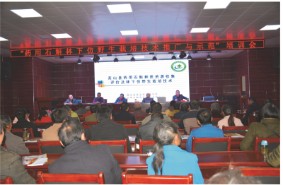 1723020801486099633.png 09_04.png