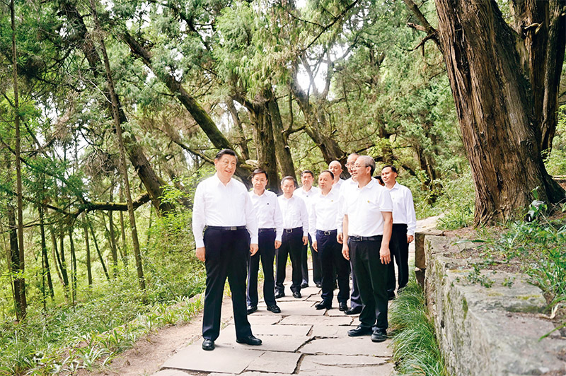 1725243047380055182.jpg 圖片5.jpg