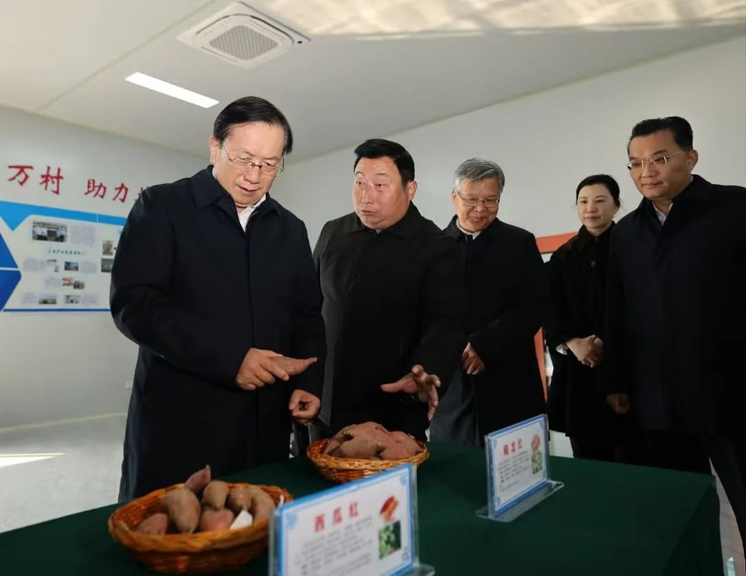 1736211902867091819.jpg 640.webp (8).jpg