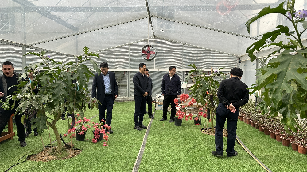 1744600792696084224.png 圖片4.png