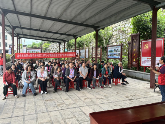 1747711375088011918.png 585a1b12-27ee-454f-92b3-449059ac45c5.png