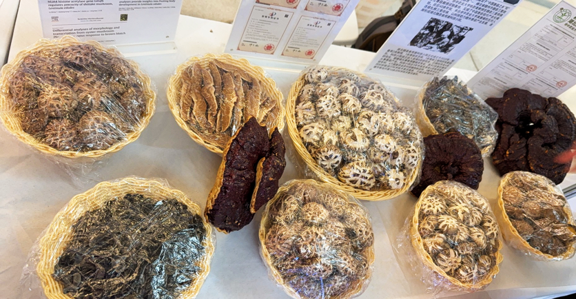 1756691219700033002.png 5.png