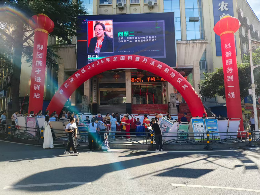 1756784293336079496.png 1756781835489.png