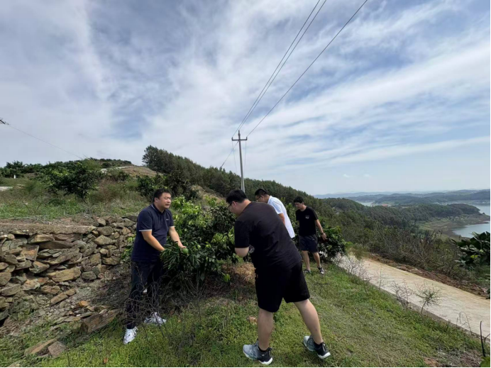 1756885639254087870.jpg 4378333526.jpg