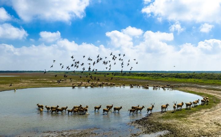 1761097706791066274.jpg 640 (1).jpg