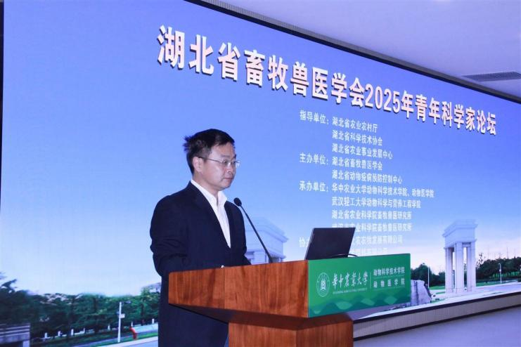 1761120546976080091.png 圖片1.png