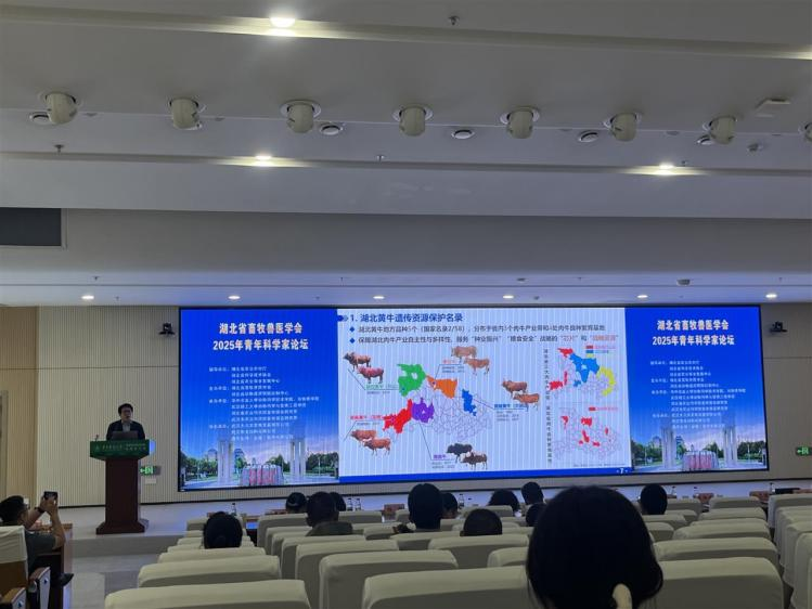 1761120556735088378.png 圖片2.png