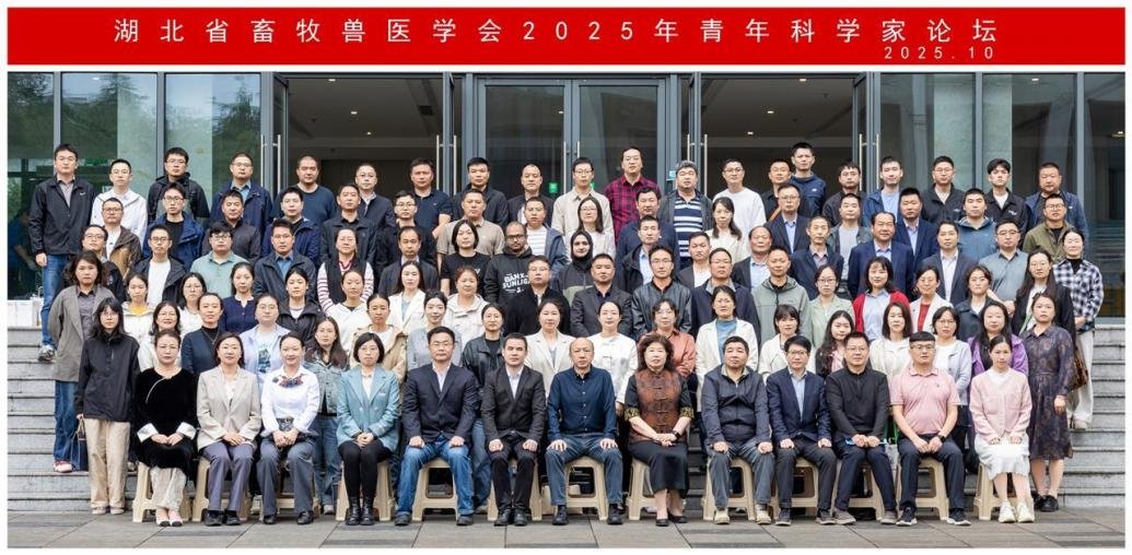 1761120565918001790.png 圖片3.png