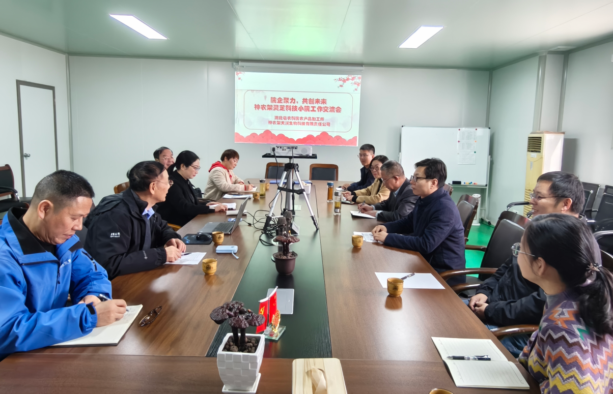 1761875945093046070.png 5166d775-c7c3-4244-a4b4-e036fd8c2204.png