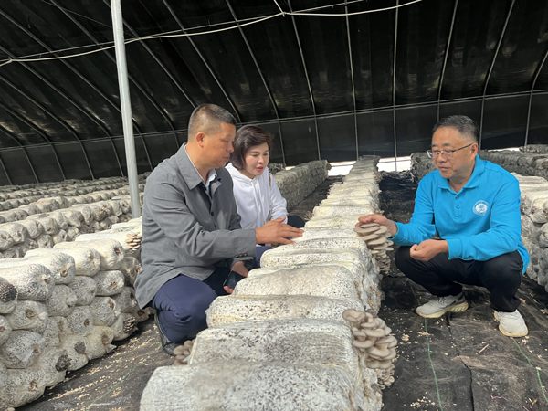 1762416962637019022.png 圖片1.png