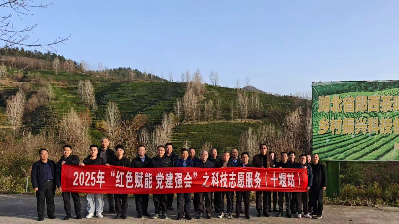 1764314763760075162.png 圖片7.png