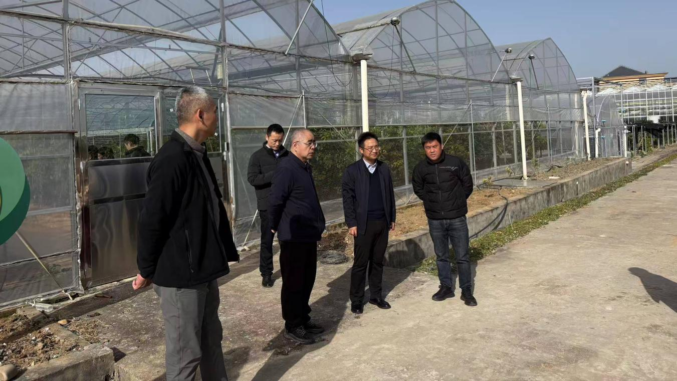 1764314836710040245.png 圖片9.png