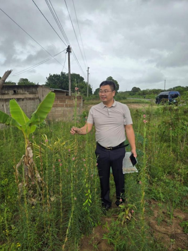 1765242479306008775.png image.png