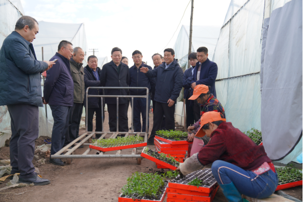 1765963069676010266.png 2_1216咸寧蔬菜產(chǎn)業(yè)高質(zhì)量發(fā)展研討新聞稿214.png