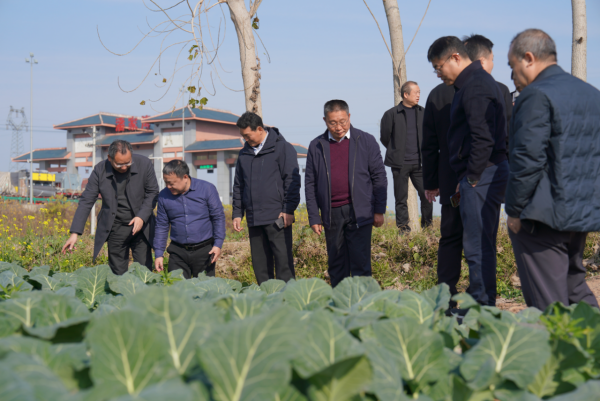 1765963084129029774.png 2_1216咸寧蔬菜產(chǎn)業(yè)高質(zhì)量發(fā)展研討新聞稿358.png