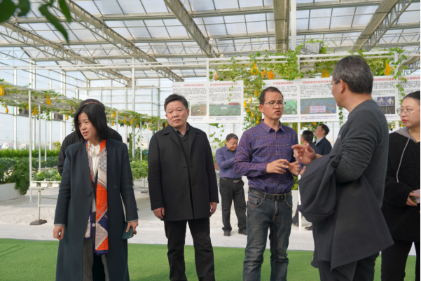 1765963096897002346.png 2_1216咸寧蔬菜產(chǎn)業(yè)高質(zhì)量發(fā)展研討新聞稿603.png