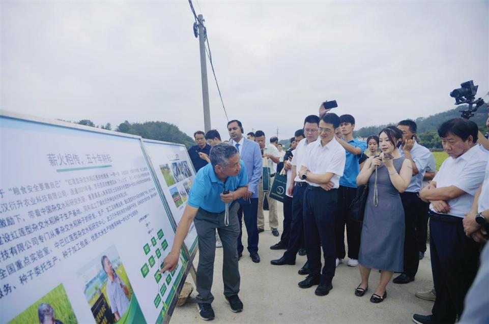 1767151179890012884.png 1767151179890012884.png