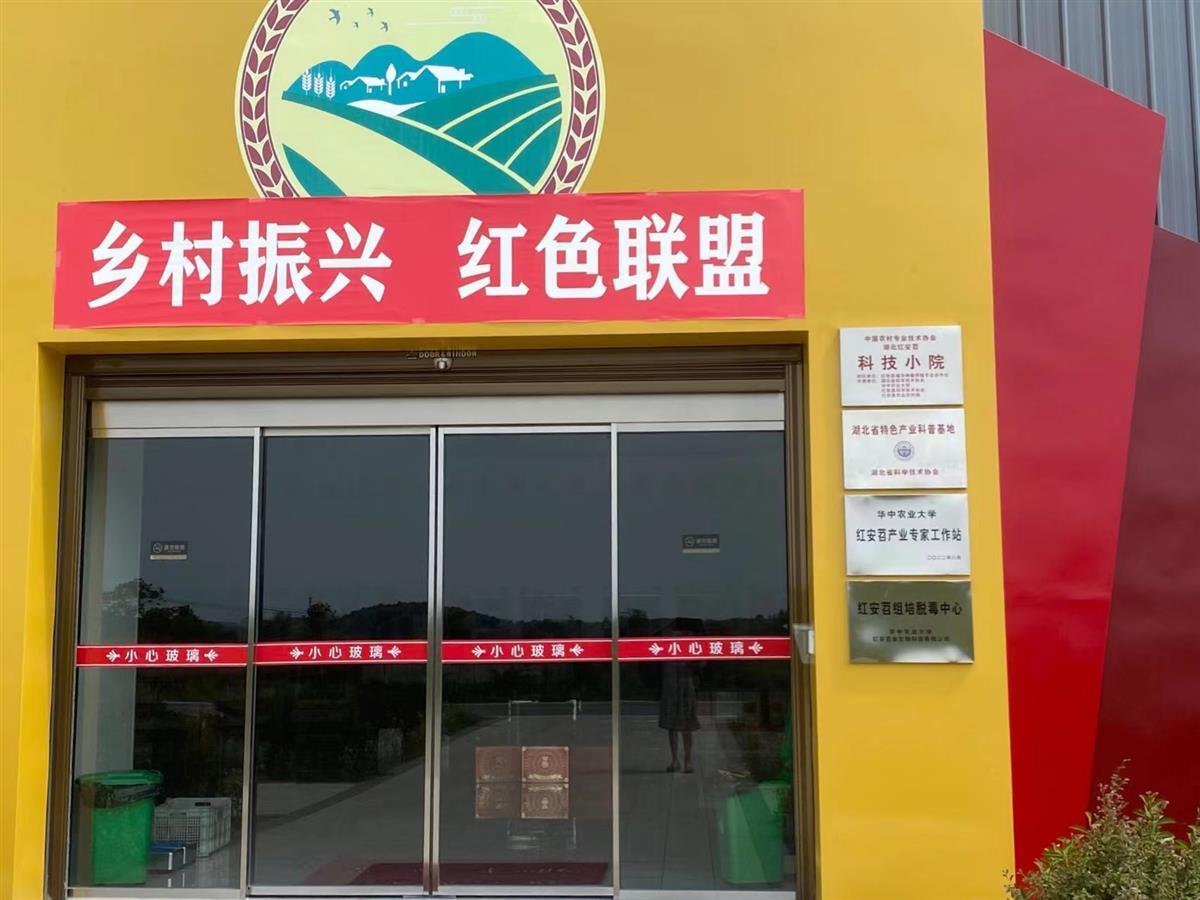 1767151202706004484.png 1767151202706004484.png