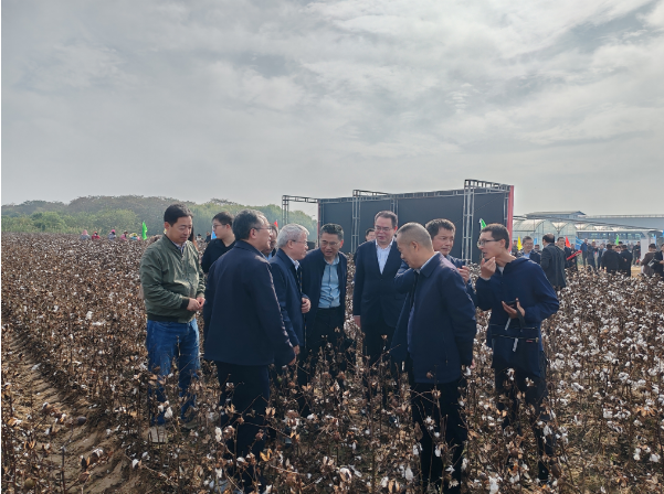 1767151248029096686.png 1767151248029096686.png