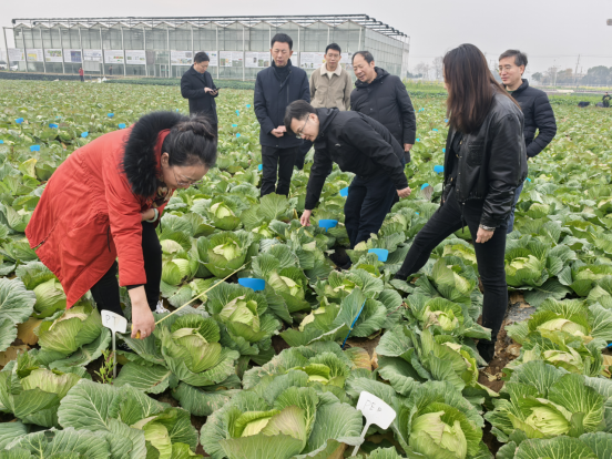新聞稿--“科創(chuàng)中國(guó)”蔬菜全產(chǎn)業(yè)提升科技服務(wù)團(tuán)項(xiàng)目總結(jié)交流會(huì)成功舉辦293.png