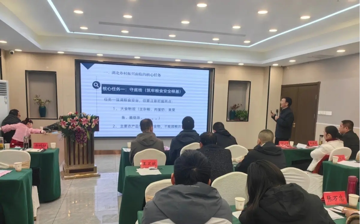 1770366092295013008.jpg 圖片2.jpg