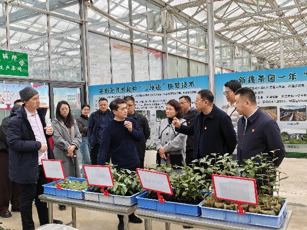 1772759756073089663.jpg 微信圖片_20260306084243_256_41.jpg