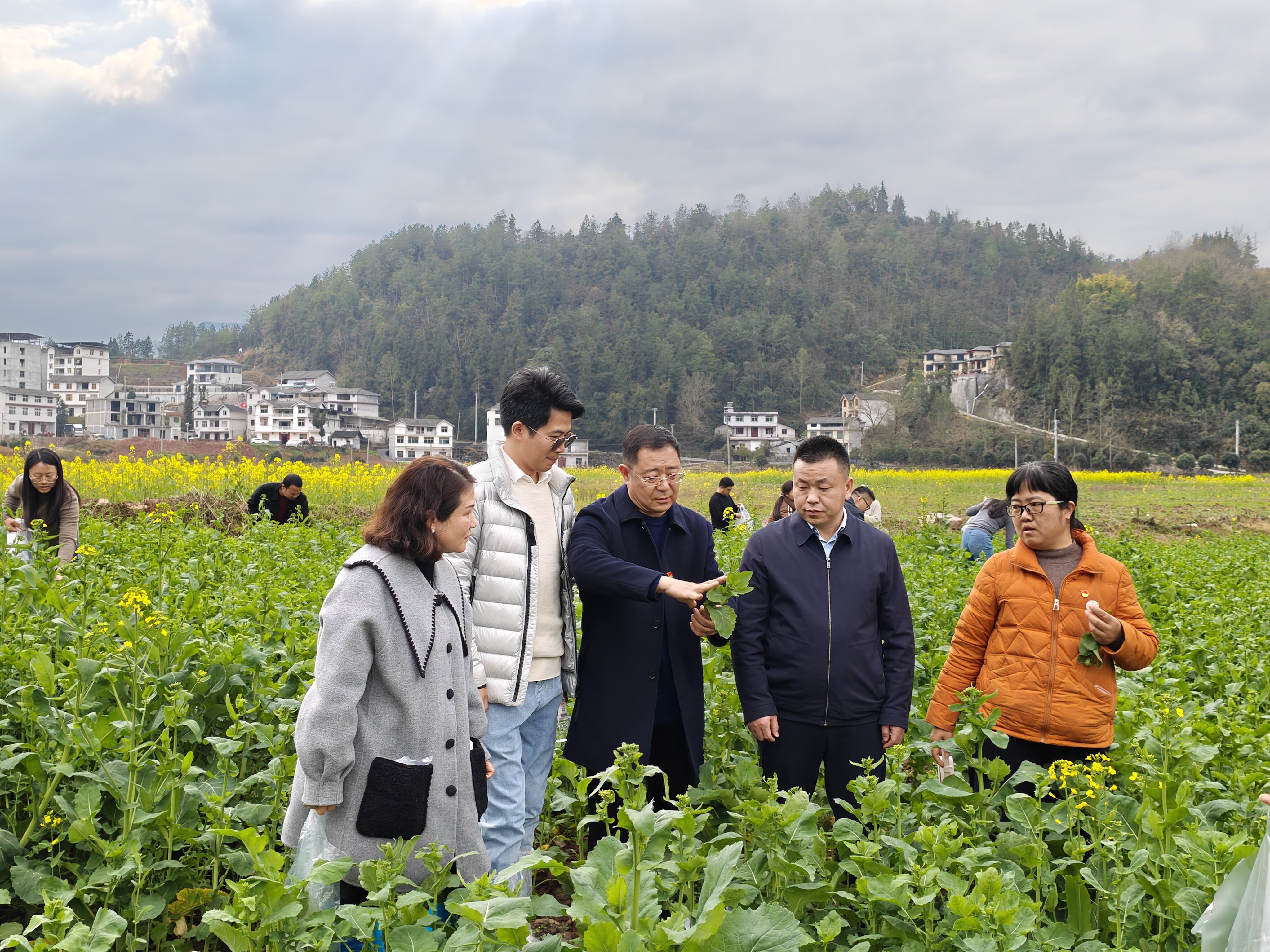 1772759855658087897.jpg 微信圖片_20260306084300_257_41.jpg