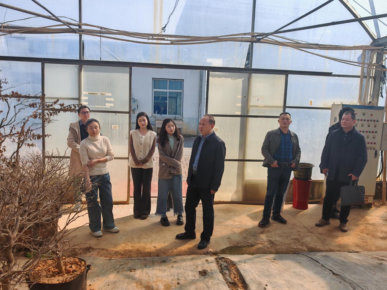 1773367921732048322.jpg 圖片1_副本.jpg