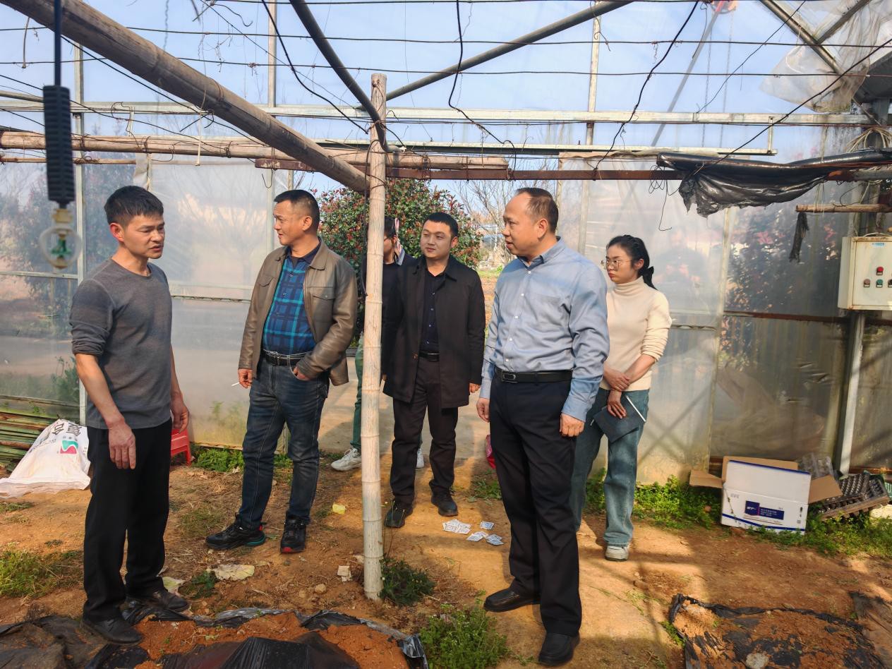 1773367945711061911.jpg 圖片2_副本.jpg