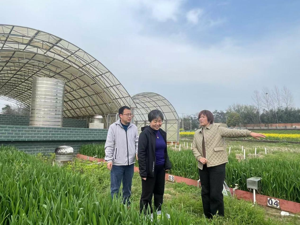 1774250765767063346.png 圖片1.png